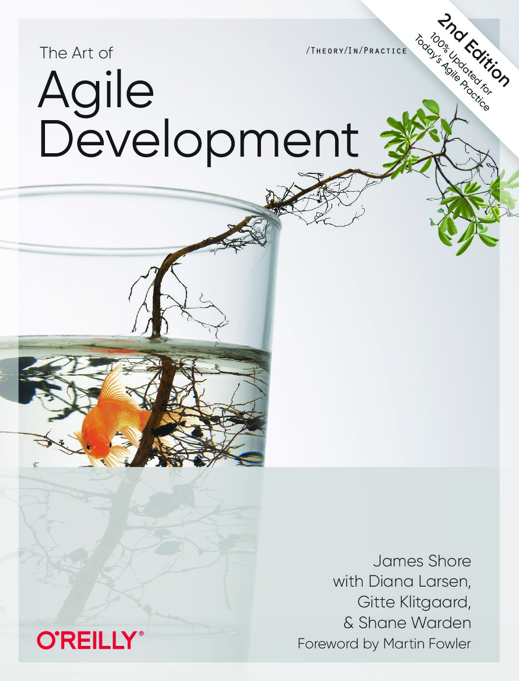 The Art of Agile Development