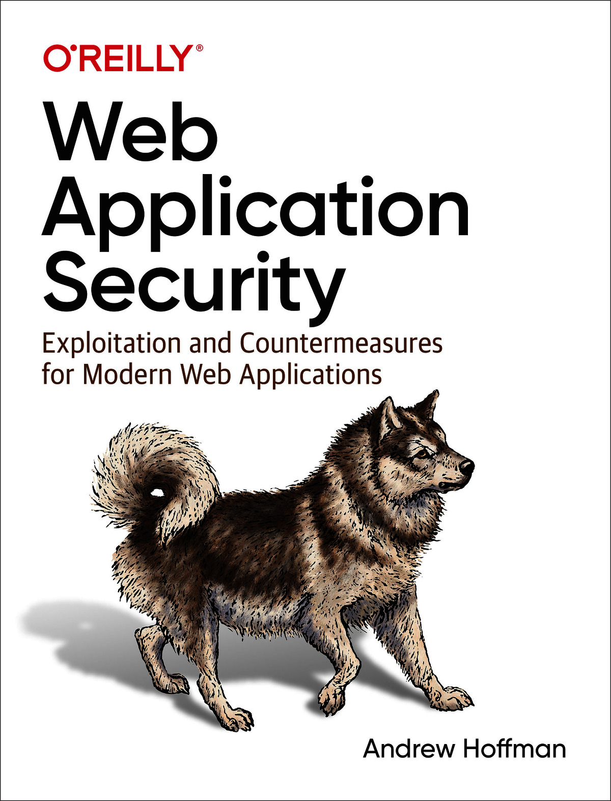 Web Application Security