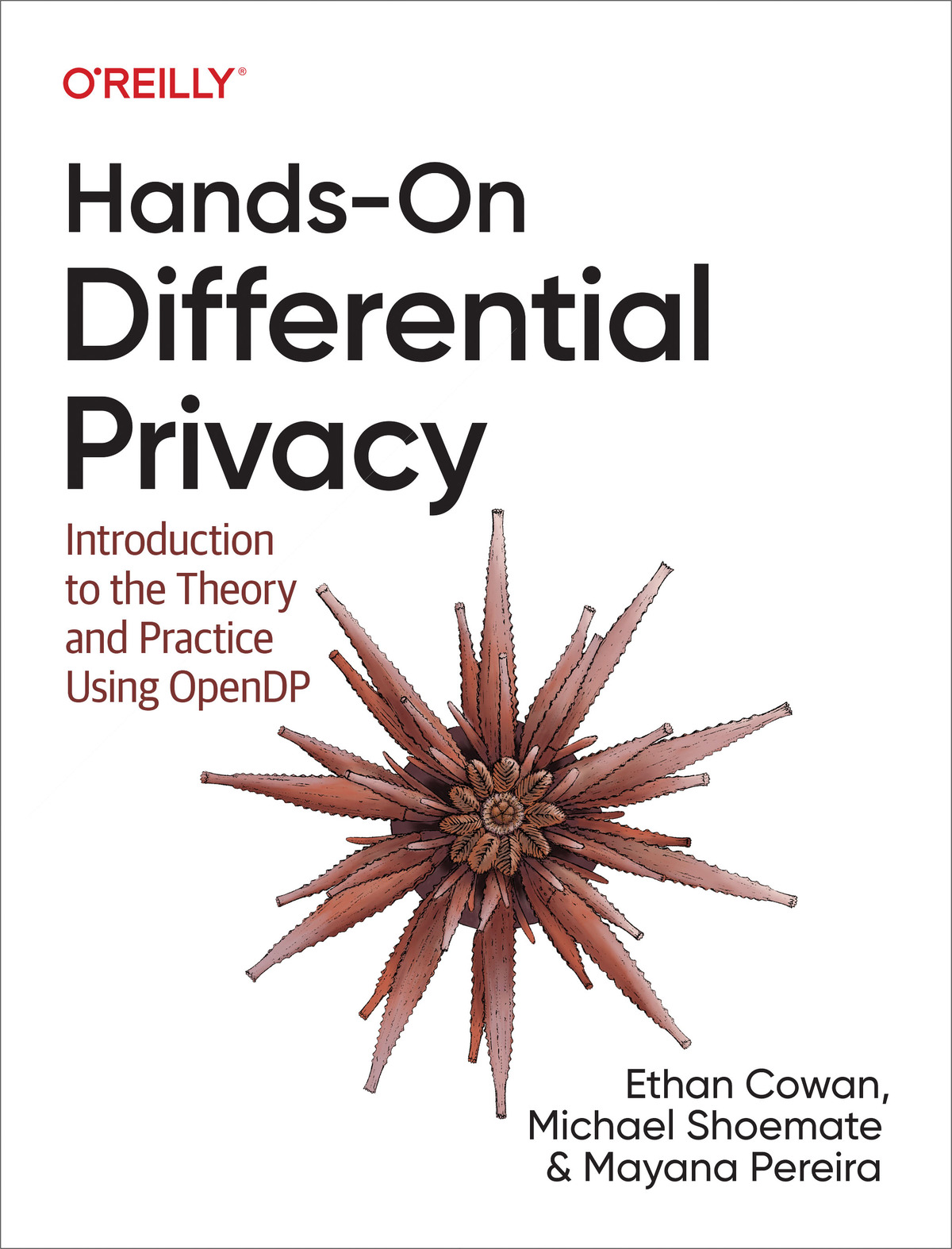 Hands-On Differential Privacy